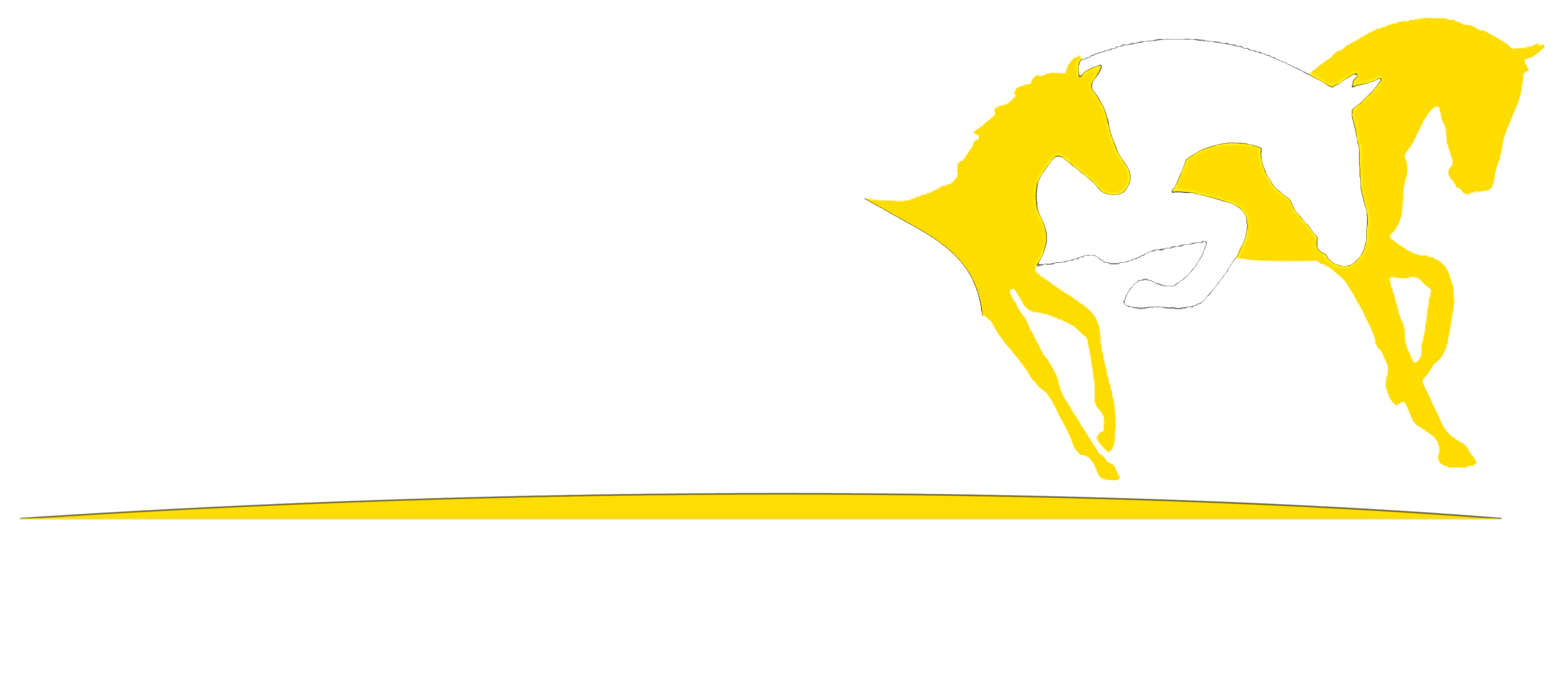 AHS Foundation