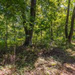 010-1370 Knight Island Rd_Lot_Delivered-2