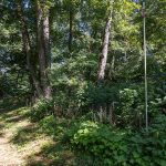 012-1370 Knight Island Rd_Lot_Delivered-4